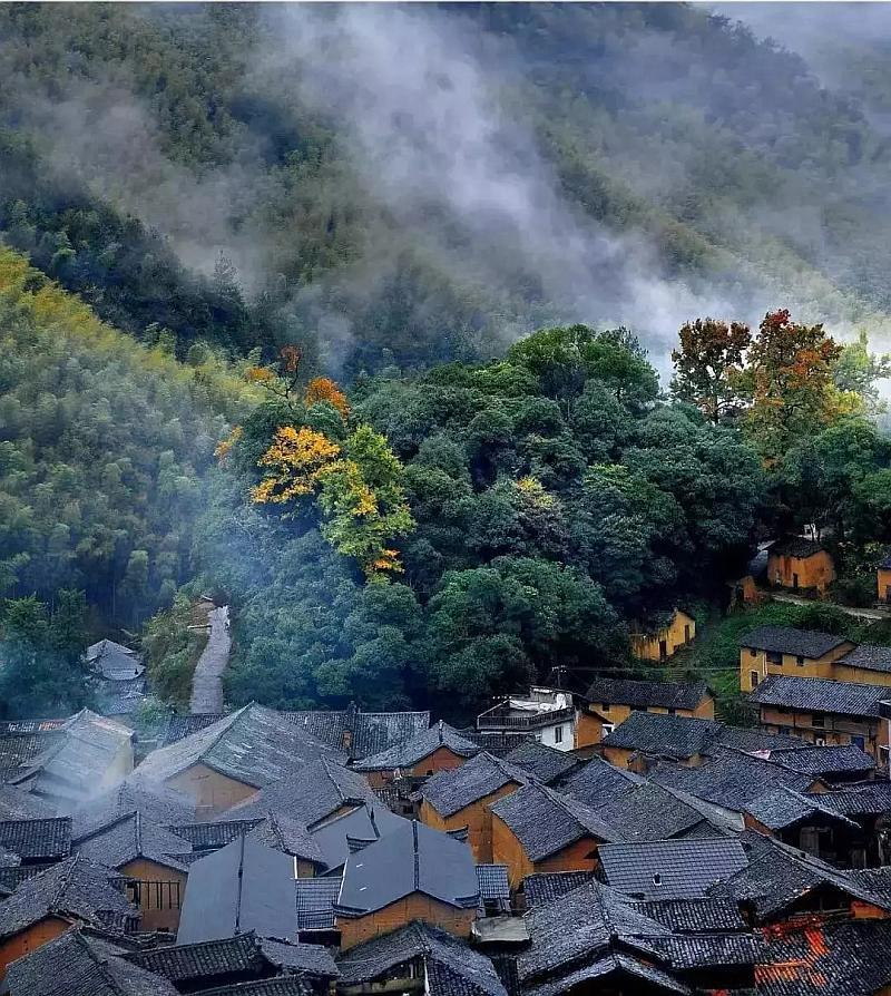 救援有趣的狮子