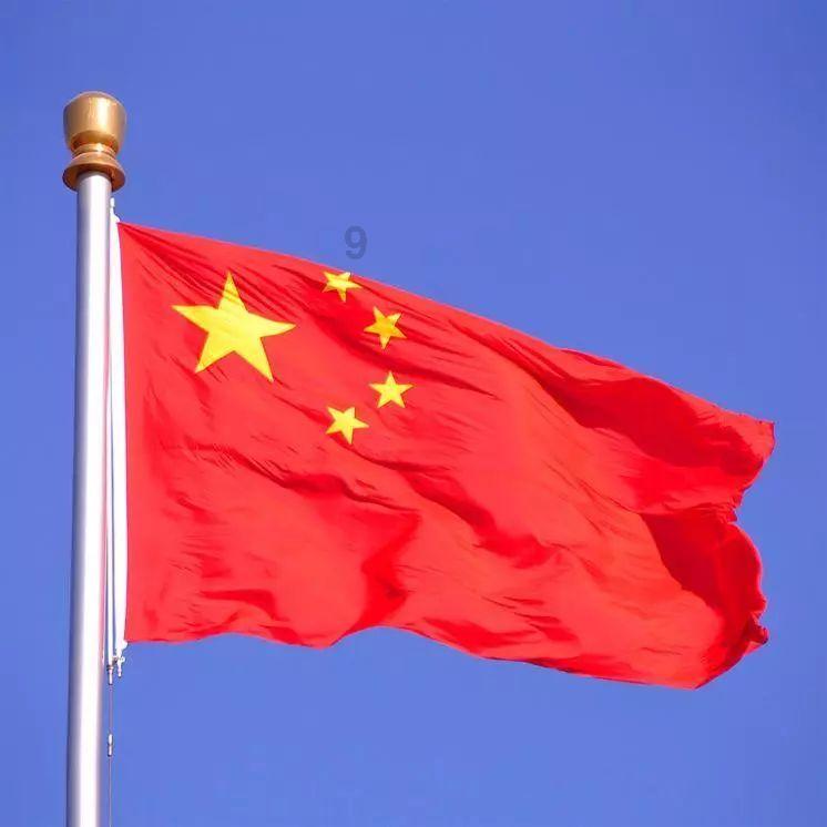 植物大战僵尸13